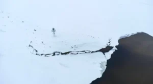 Resim Optimizasyonu ve Lazy Load Kullanarak WordPress Sitenizin Açılış Hızını Artırma